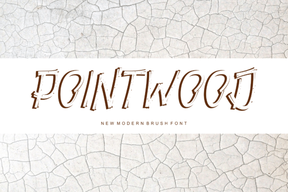 Pointwood: A Display Font That Brings Handmade Projects to Life